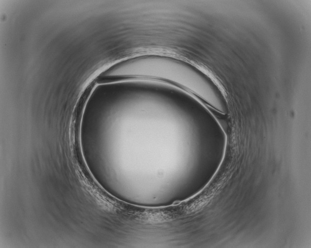 X0000085000983200703191045