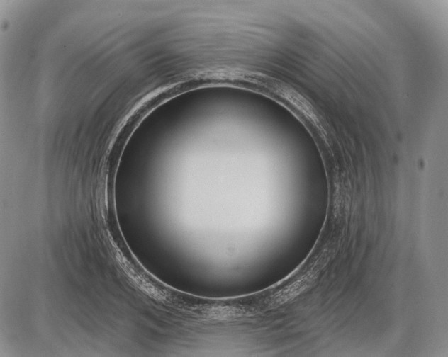 X0000085000984200703191045