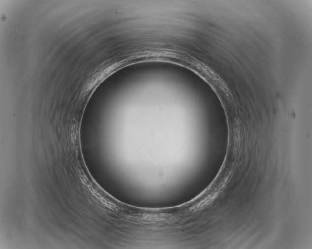 X0000085000985200703191045