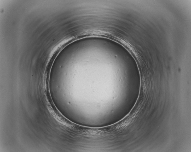 X0000085000987200703191045