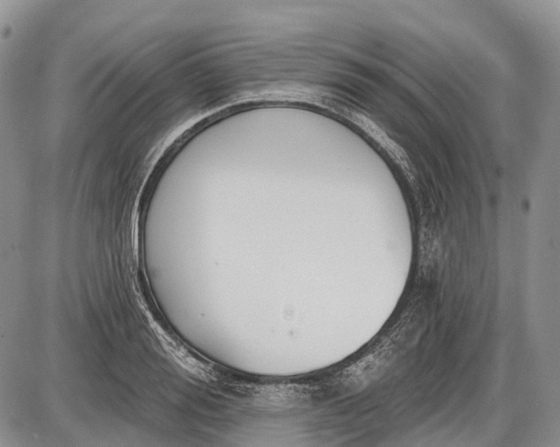 X0000085000988200703191045