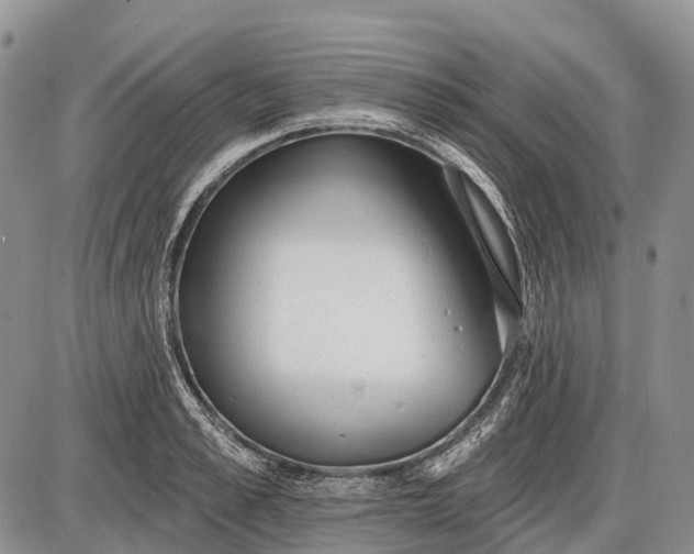 X0000085000989200703191045