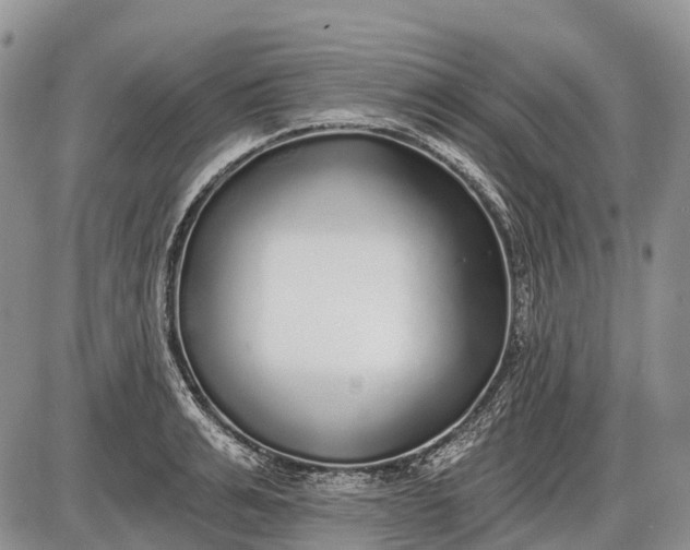 X0000085000991200703191045