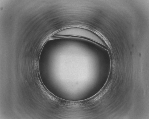 X0000085000993200703191045