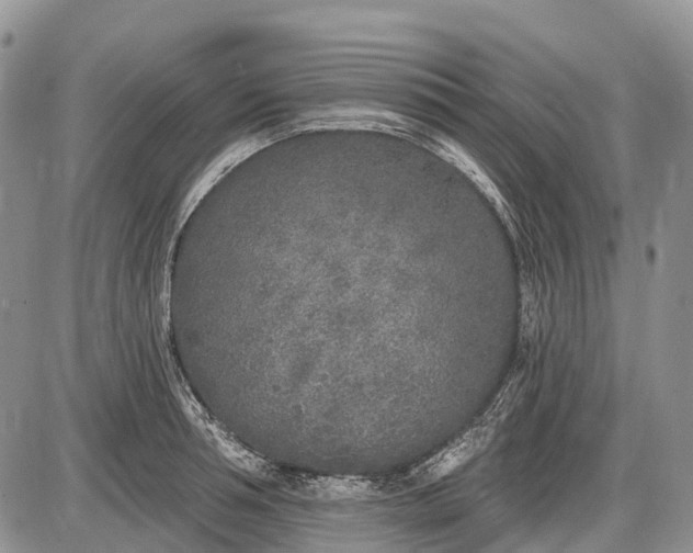 X0000085000994200703191045