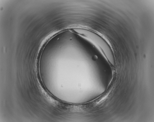 X0000085000995200703191045