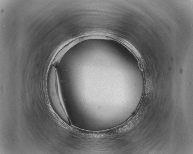 X0000085000996200703191045