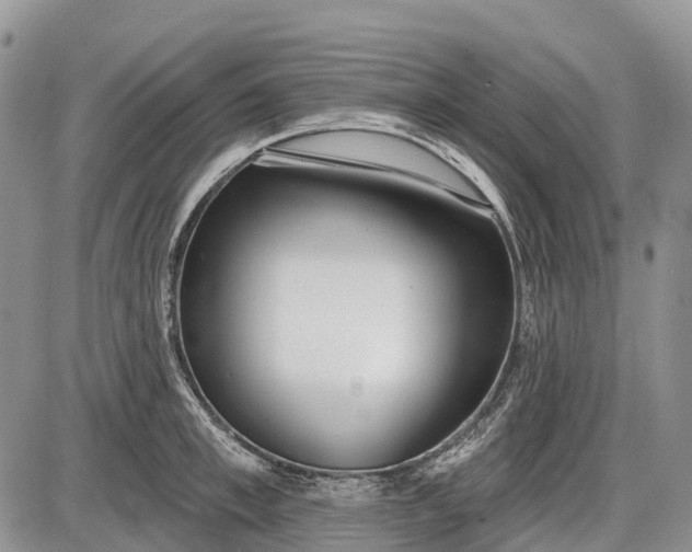 X0000085000997200703191045