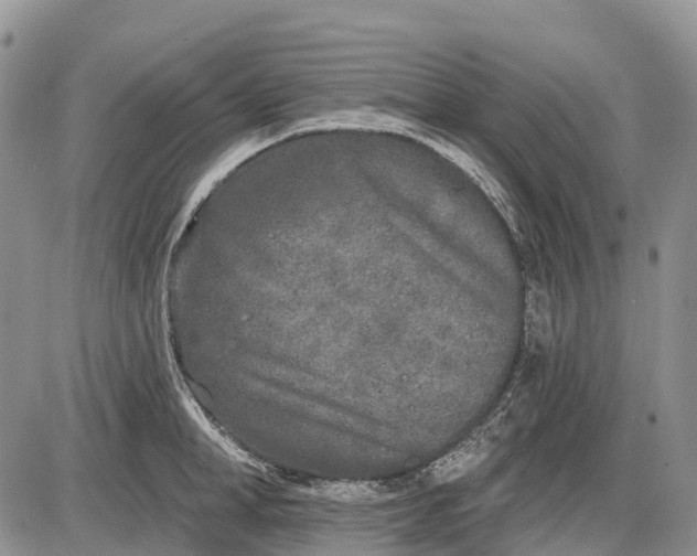 X0000085000998200703191045