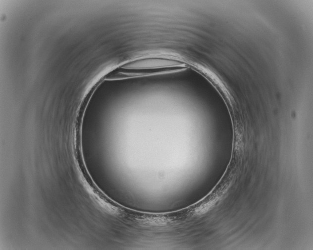 X0000085000999200703191045