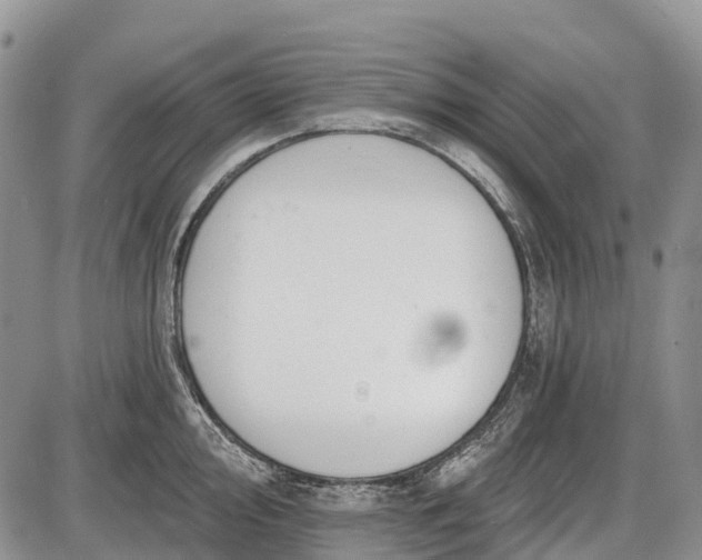 X0000085001000200703191045