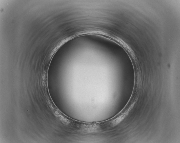 X0000085001001200703191045