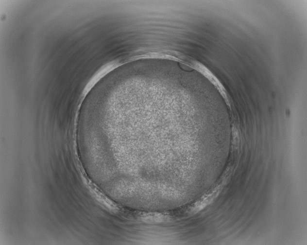 X0000085001002200703191045