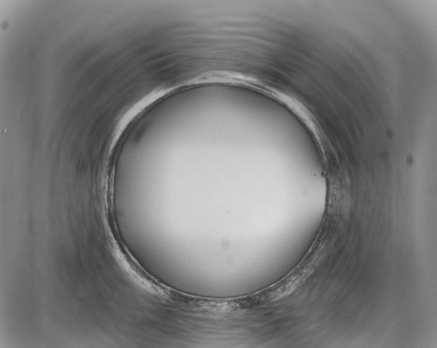 X0000085001003200703191045