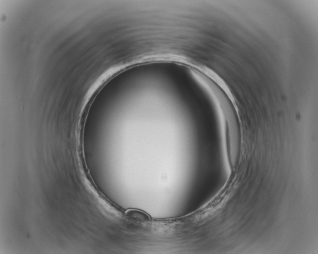 X0000085001005200703191045