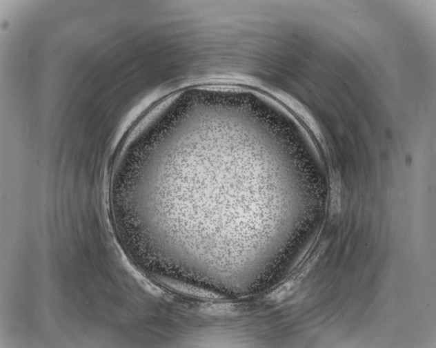 X0000085001006200703191045