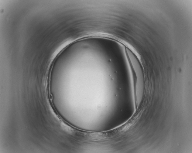 X0000085001007200703191045