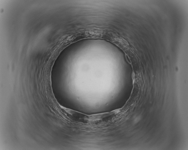 X0000085001009200703191044