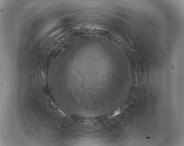 X0000085001013200703191044