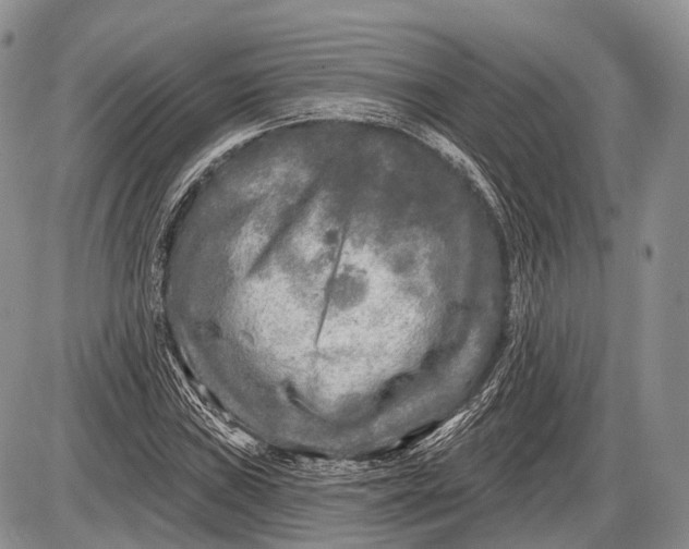 X0000085001019200703191044