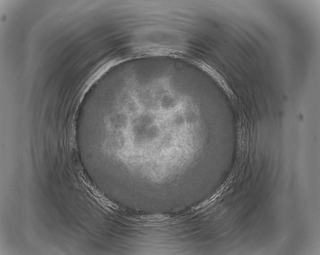 X0000085001023200703191044