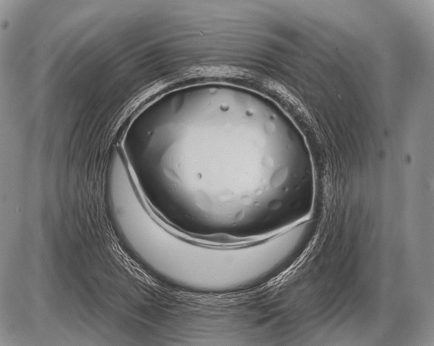 X0000085001025200703191044