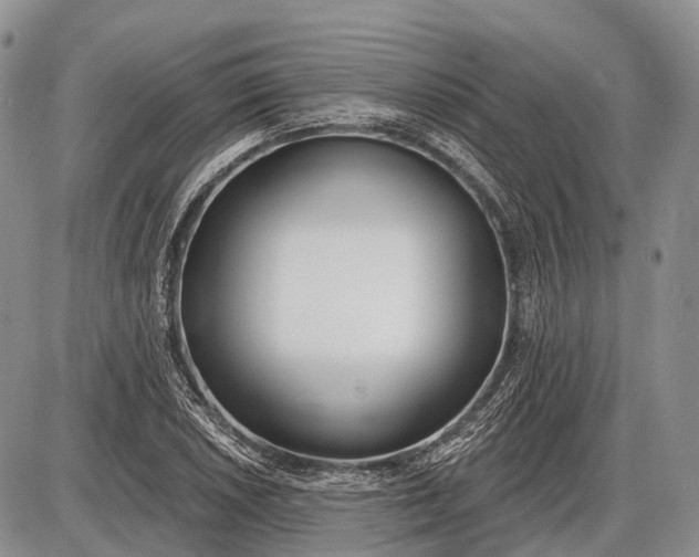 X0000085001026200703191044