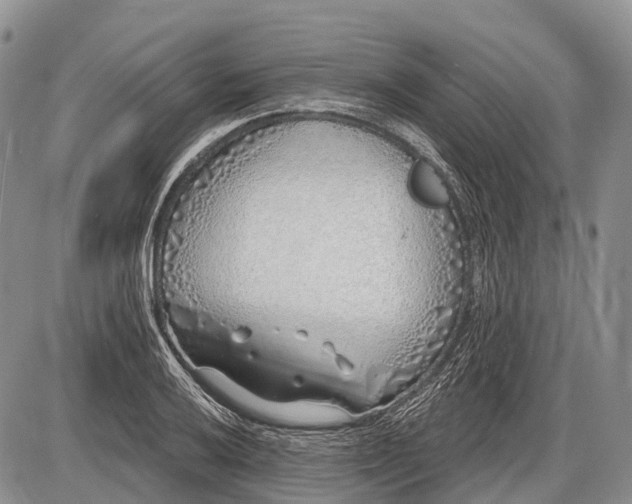 X0000085001032200703191044