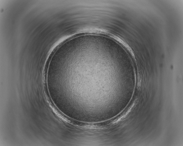 X0000085001037200703191045