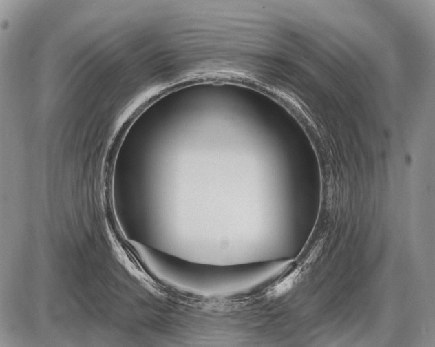 X0000085001038200703191045