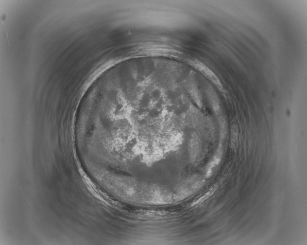 X0000085001039200703191045