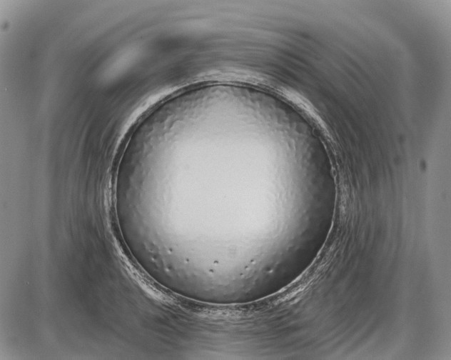 X0000085001040200703191045