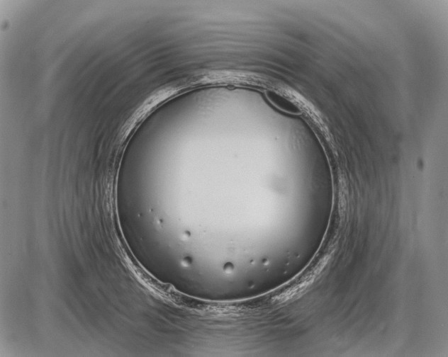 X0000085001041200703191045