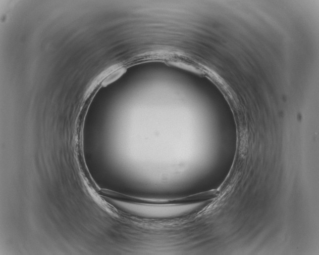 X0000085001042200703191045