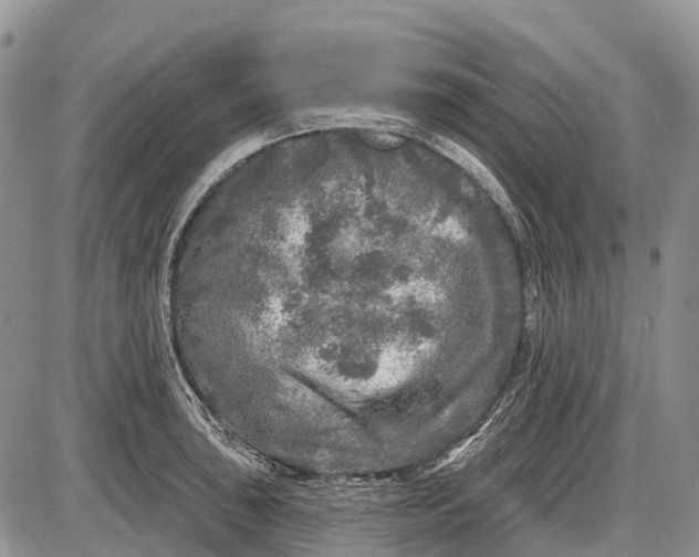 X0000085001043200703191045