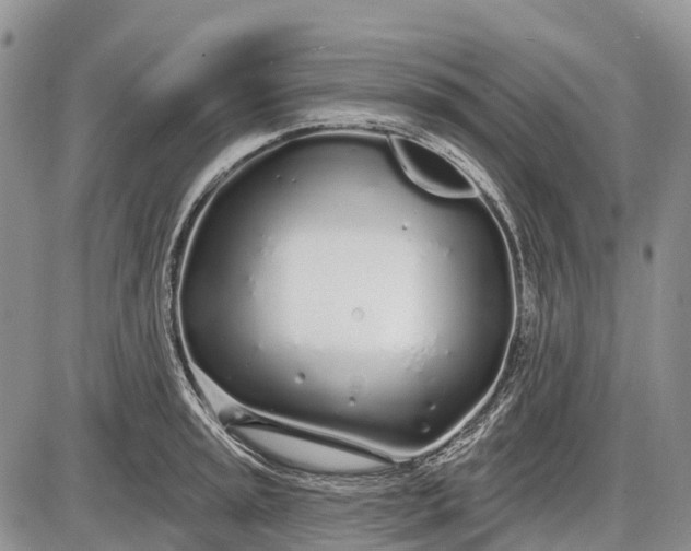 X0000085001045200703191045