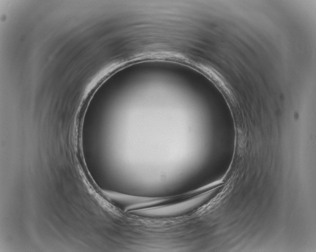 X0000085001046200703191045