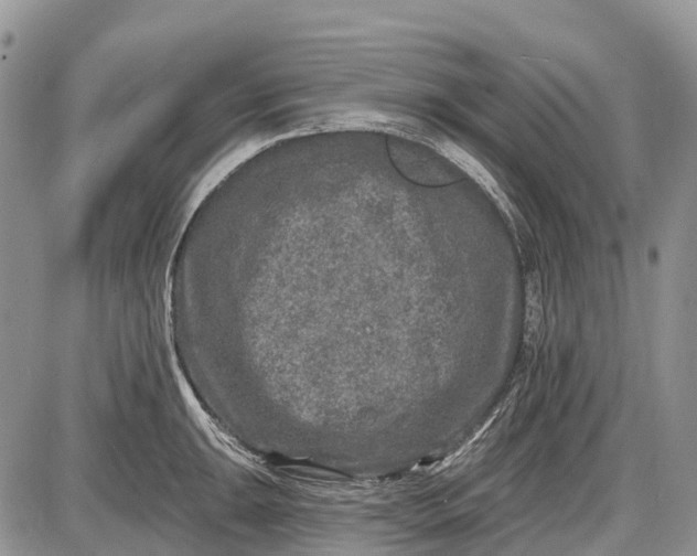 X0000085001047200703191045