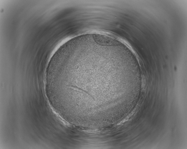 X0000085001048200703191045