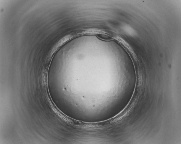 X0000085001049200703191045