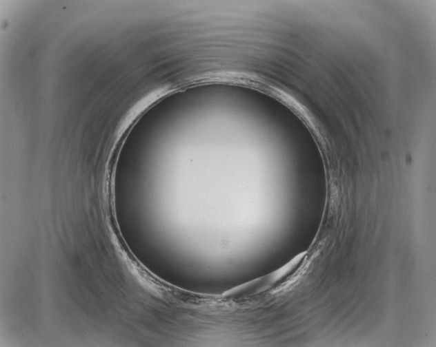 X0000085001050200703191045