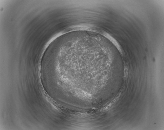 X0000085001051200703191045