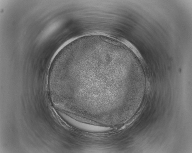 X0000085001052200703191045