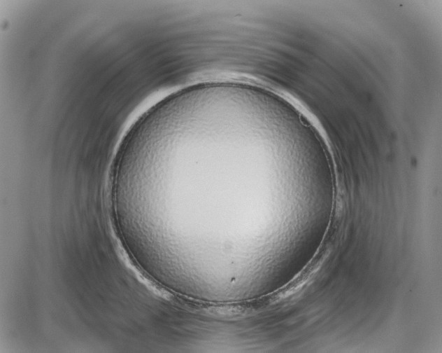 X0000085001053200703191045