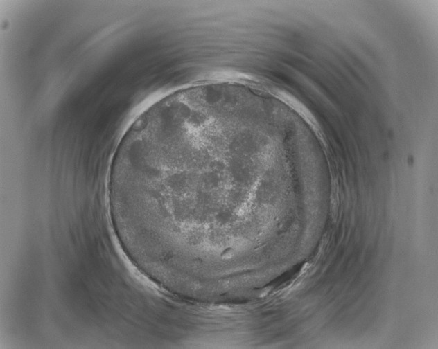 X0000085001055200703191045