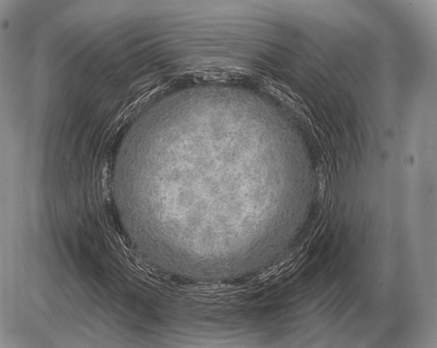 X0000085001060200703191044