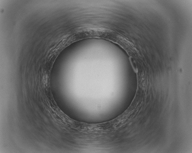 X0000085001061200703191044