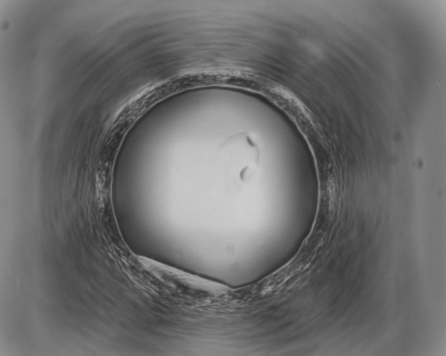 X0000085001064200703191044