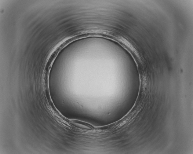 X0000085001068200703191044