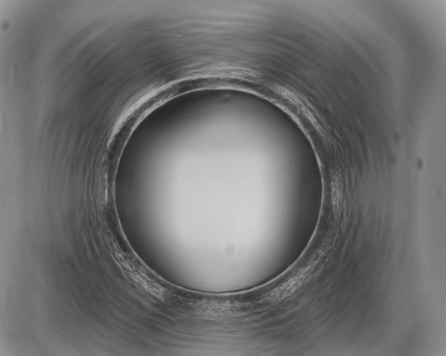 X0000085001069200703191044